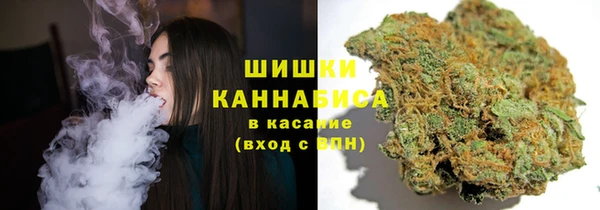 сатива Киренск