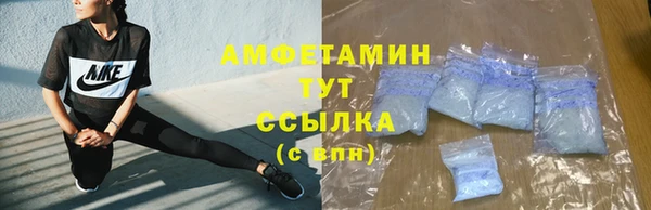 крисы Козловка