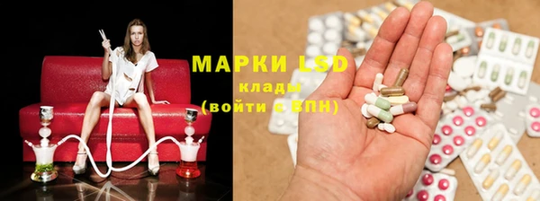 крисы Козловка