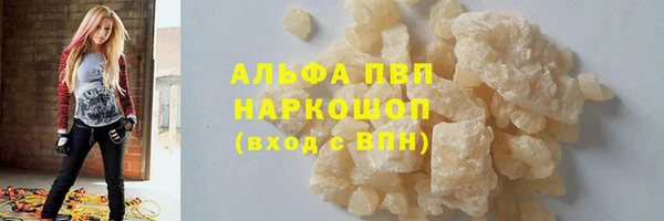 крисы Козловка