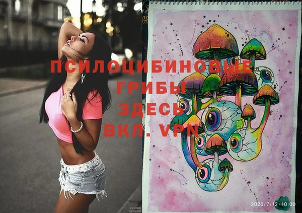 дмт Кинешма