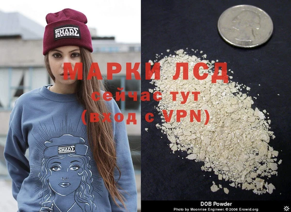 крисы Козловка
