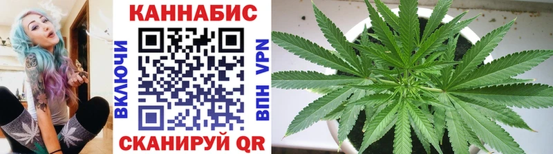 Марихуана ГИДРОПОН  Купить где  Бронницы 